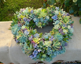 Succulent Wreath, Heart Shaped Succulent Wreath, Valentines Day Wreath, Valentines Day Gift, Wedding Table, Housewarming Gift