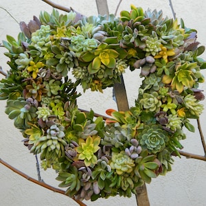 Succulent Wreath, Heart Shaped Succulent Wreath, Valentines Day Wreath, Valentines Day Gift, Wedding Table, Housewarming Gift image 3