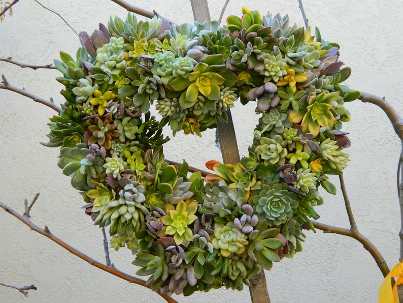 Succulent Wreath, Heart Shaped Succulent Wreath, Valentines Day Wreath, Valentines Day Gift, Wedding Table, Housewarming Gift image 3