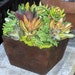 see more listings in the Centerpieces section