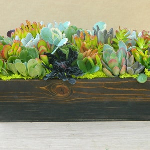 Succulent Arrangement Succulent Wooden Box Succulent Centerpiece, Succulent Fall Centerpiece, - Succulent Fall  Wedding