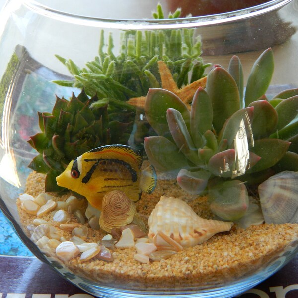 Succulent Terrarium - Succulent Tabletop, Wedding Centerpiece, Special Events Centerpiece, Succulent Planter, Succulent Garden