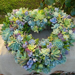 May include: A heart-shaped wreath made of various succulents in shades of green, blue, and purple. The wreath is arranged on a hessian background.