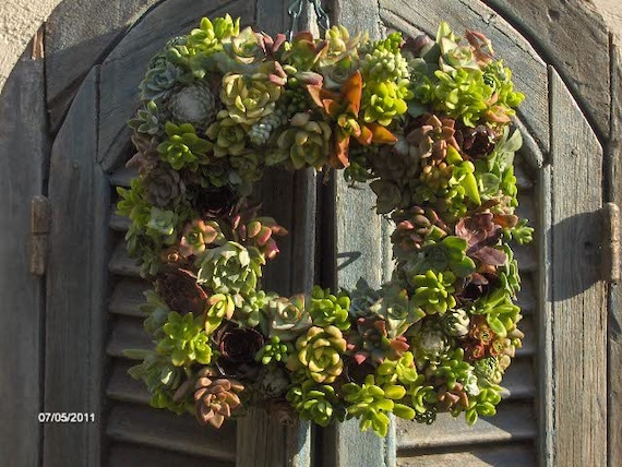 Square Succulent Wreath: Live Wedding Centerpiece, 9 Inch - Etsy