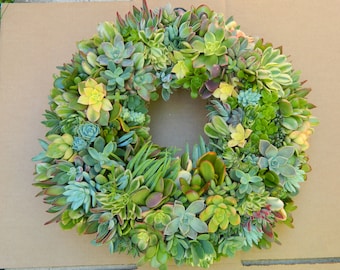 Succulent Wreath - Round Live Succulent Wreath - 18" Succulent Wreath for Gift Giving, Home Decor, Wedding Centerpiece