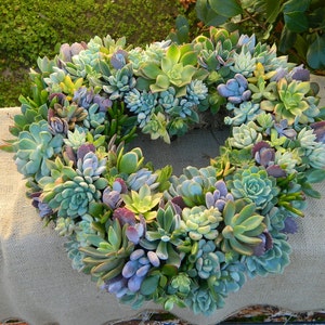 Succulent Wreath, Heart Shaped Succulent Wreath, Valentines Day Wreath, Valentines Day Gift, Wedding Table, Housewarming Gift image 1