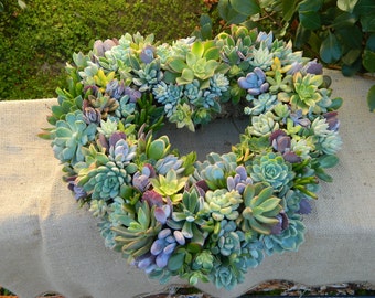 Succulent Wreath, Heart Shaped Succulent Wreath, Valentines Day Wreath, Valentines Day Gift, Wedding Table, Housewarming Gift