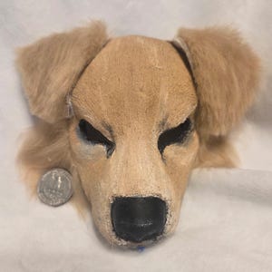 May include: A tan-colored dog mask with black accents around the eyes and a black nose. The mask has floppy ears and is made of a soft, textured material. A quarter is next to the mask for scale.