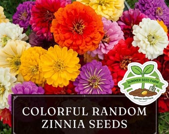 Assorted Color Zinnia Seed Mix 200 Seeds | Long Blooming Cut Flower Variety, Beginner Friendly for Outdoor Patio & Garden Planting