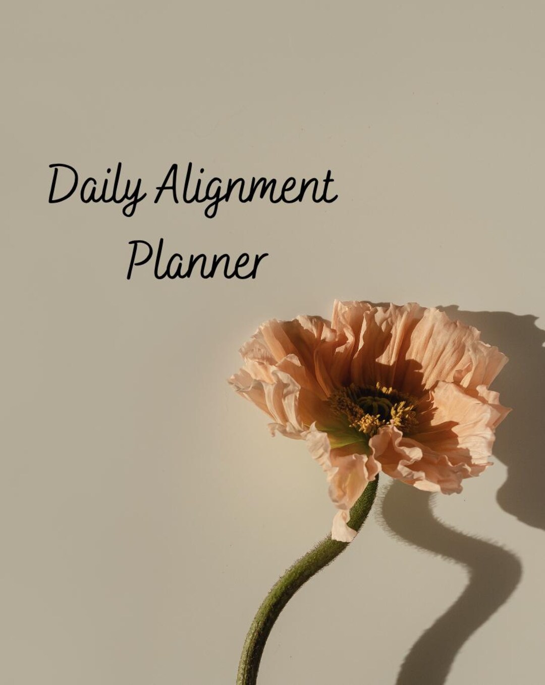 Daily Alignment Planner - Etsy