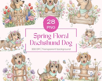 Può includere: Illustrazioni ad acquerello di cani bassotto con ghirlande floreali e bandane. Le immagini includono cani con fiori, farfalle e il testo "Spring Floral Dachshund Dog". Le immagini sono su sfondo trasparente.