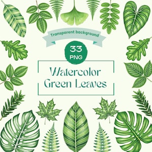 Peut inclure: Une collection de 33 feuilles vertes à l'aquarelle au format PNG avec un fond transparent. L'image présente diverses illustrations botaniques, notamment des feuilles de fougère, de ginkgo, d'érable et de monstera autour d'un texte central.