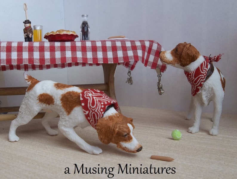 dollhouse dog