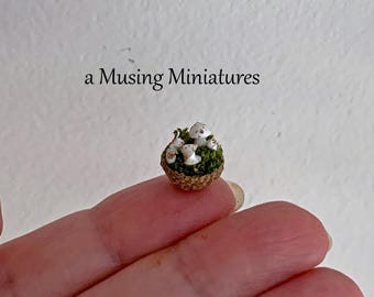 Tiny Miniature Mushroom Garden for 1:12 Scale Halloween Dollhouse Wizard or Fairy