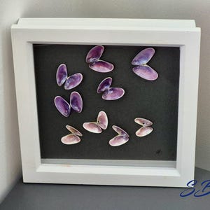 May include: A white framed artwork displaying a collection of purple and pink seashells against a black backdrop. The shells are arranged to resemble butterflies. The square frame provides a clean, contemporary aesthetic. The artwork is suitable for home decor.