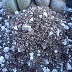 May include: Close-up of a brown soil mix with small white rocks. The soil is used for planting succulents.