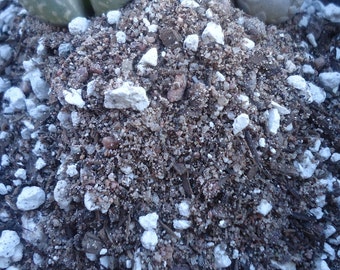 3Lb Lithops Soil Blend: Fast Draining, Living Stones