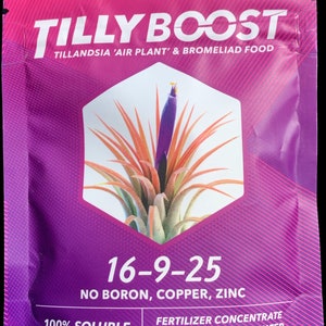 Air Plant  Tillandsia Fertilizer