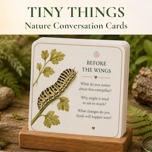 May include: A deck of square conversation cards titled Tiny Things Nature Conversation Cards. The front card features a detailed illustration of a yellow and black striped caterpillar on a green stem with the text Before The Wings and questions.