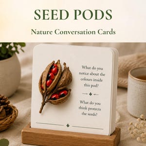 May include: A deck of square white conversation cards titled SEED PODS Nature Conversation Cards. The front card features a realistic image of brown seed pods with bright red seeds and text asking about the colors and protection of the seeds.