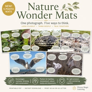 Könnte beinhalten: Ein Set aus fünf Nature Wonder Mats mit Fotografien einer Schnecke, einer Eidechse, einer Ameise, einer Möwe und eines Schafes. Jede Matte enthält Sprechblasen mit Fragen, die zur Beobachtung und Diskussion anregen sollen.