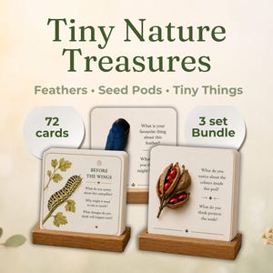 Könnte beinhalten: Ein Set aus 72 Lernkarten mit dem Titel Tiny Nature Treasures: Feathers, Seed Pods, Tiny Things. Die Karten zeigen Illustrationen einer Raupe und Samenkapseln mit Texten und stehen in zwei Holzständern vor einem hellen Hintergrund.