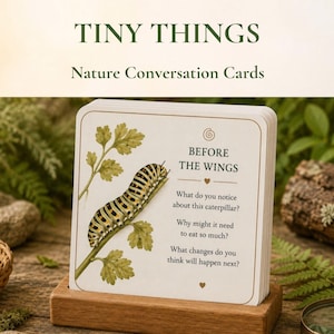 May include: A deck of square nature conversation cards titled TINY THINGS, displayed in a wooden stand. The front card features a yellow and black striped caterpillar on a green stem with the text BEFORE THE WINGS and three questions about the insect.