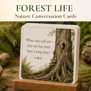 May include: A deck of square Forest Life Nature Conversation Cards in a wooden stand. The front card features an illustration of a large tree with exposed roots, ferns, and shelf mushrooms, with the text: What clues tell you this tree has been here a long time?