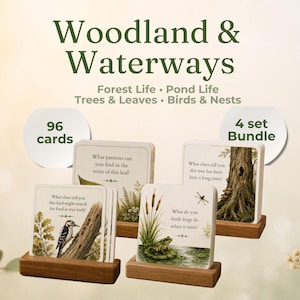 Puede incluir: Un paquete de 4 juegos de 96 tarjetas Woodland & Waterways sobre vida forestal, vida en estanques, árboles, hojas, aves y nidos. Las tarjetas muestran ilustraciones de naturaleza y preguntas, exhibidas en soportes de madera con texto.