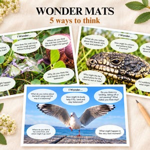 以下が含まれることがあります： 「5 ways to think」と題された3枚のWonder Mats教育用カード。カタツムリ、トカゲ、カモメの写真が掲載されています。各カードには動物に関する質問が書かれた「I Wonder」の吹き出しがあり、花柄のアクセントが付いた白い背景に配置されています。