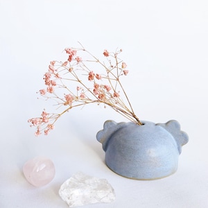 Può includere: Un vaso in ceramica azzurra dalla forma unica, con fiori rosa secchi. Accanto al vaso, un cristallo di quarzo rosa e un cristallo di quarzo trasparente, su sfondo bianco.