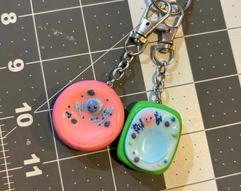 Mini Cell Companion Worry Stones [Preorder]
