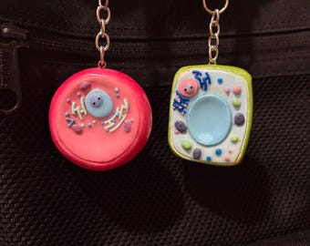 Cell Companion Worry Stone Duo Set [Preorder]