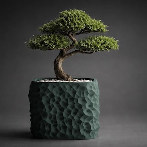 Op de afbeelding: Een bonsai-boom in een getextureerde, donkerblauwe vierkante pot. De boom heeft een gebogen stam en weelderig groen gebladerte. De pot is gevuld met kleine witte stenen, wat een serene en natuurlijke esthetiek creëert. De achtergrond is donkergrijs.
