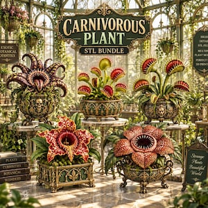 Puede incluir: Una colección digital de cinco modelos distintos de plantas carnívoras en macetas ornamentadas y detalladas. La imagen contiene el texto "CARNIVOROUS PLANT STL BUNDLE", "EXOTIC BOTANICAL ODDITIES", "HIGH DETAIL STL FILES" y "STRANGE PLANTS BEAUTIFUL WORLD".