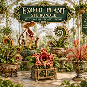 Könnte beinhalten: Eine digitale Sammlung von exotischen Pflanzen-STL-Dateien mit vier verschiedenen fleischfressenden Pflanzenmodellen in verzierten Pflanzgefäßen. Das zentrale Schild zeigt EXOTIC PLANT STL BUNDLE, PRINT, DISPLAY, COLLECT, CREATE, mit einem Banner an der Seite, das HIGH DETAILED STL FILES, PERFECT FOR 3D PRINTING liest.