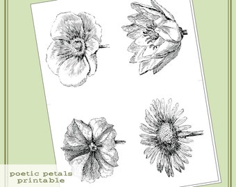 Instant download Hero Arts Digital Stamps Poetic Petals Printable PT004  Digital Kit