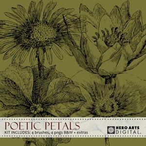Kit Hero Arts DK032 poétique pétales numérique, fleurs, papier d’artisanat, scrapbooking, estampage, technique mixte, a2z Scrapbooking