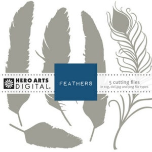 Hero Arts Feathers Digital Cut File Feathers DT104 image 1