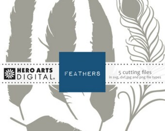 Hero Arts Feathers Digital Cut File Feathers DT104