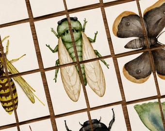 Insect Puzzle Printable | Bug Matching Activity for Preschool | Montessori Insect Learning Game | Fine Motor Skills | Digital Download