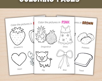 Color Recognition Coloring Pages | Learn Colors Printable Worksheets | Preschool Color Matching Activity | Toddler Learning Binder