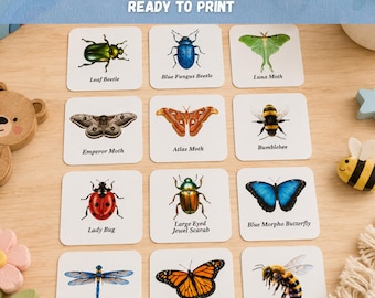 48 Insects Flash Cards Printable | Montessori Nature Learning Cards  | Homeschool Science Activity | Preschool Learning PDF
