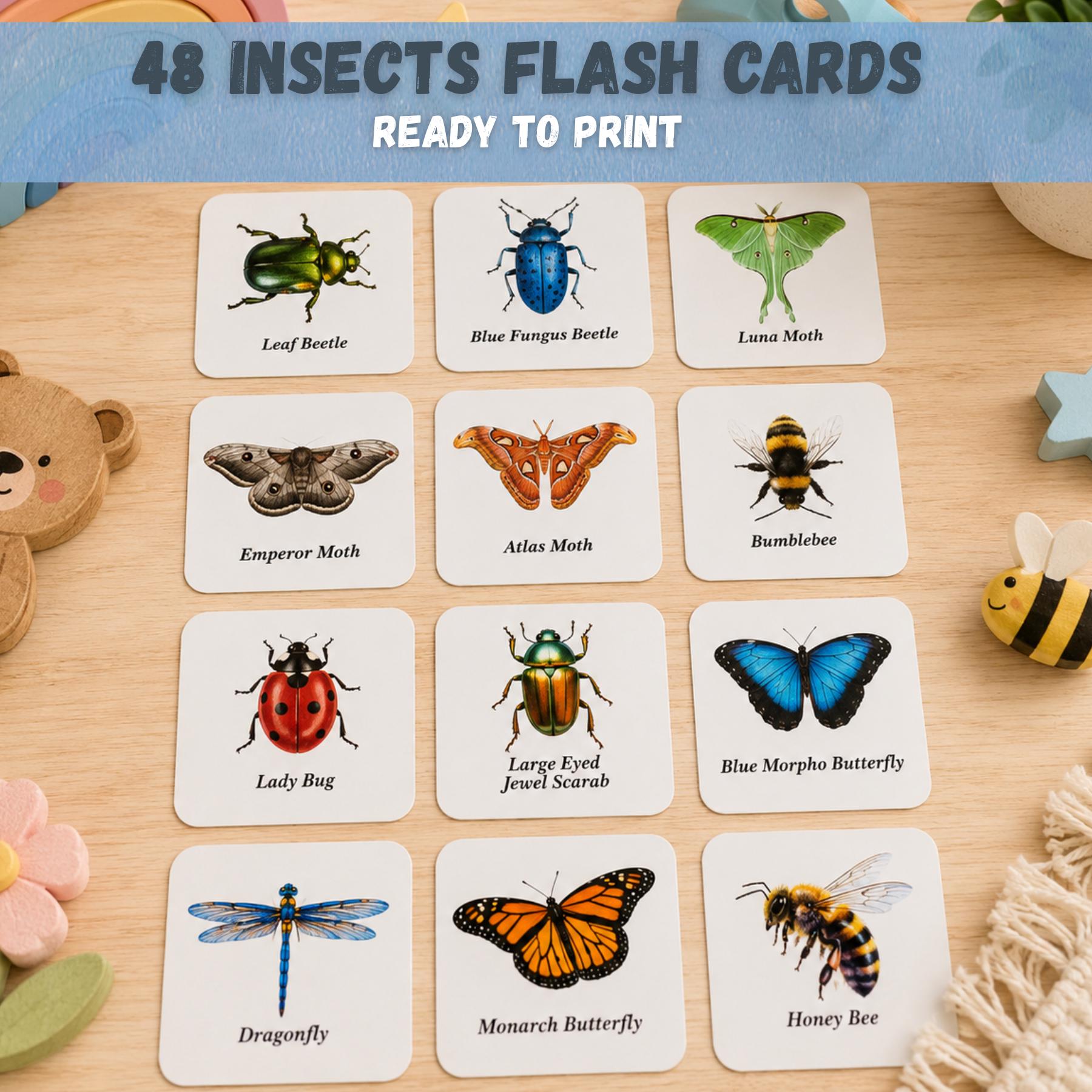 48 Insects Flash Cards Printable | Montessori Nature Learning Cards ...