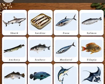 Sea Creatures Flash Cards Printable | 40 Ocean Animal Flashcards | Montessori Marine Life Learning Cards | Preschool Educational Flashcards
