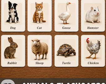 Animal Flash Cards Printable | 72 Animal Vocabulary Cards | Montessori Animal Learning Cards | Preschool Educational Flashcards