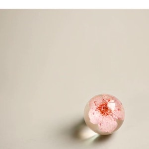 Peut inclure: Une sphère en verre transparent avec un motif floral rose et rouge à l'intérieur. La sphère repose sur une surface beige clair, projetant une ombre douce.