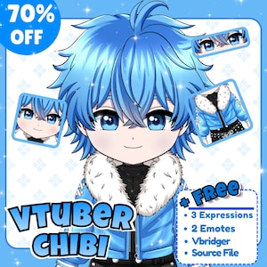 Custom Chibi Vtuber Model: Live2D Anime Character Design