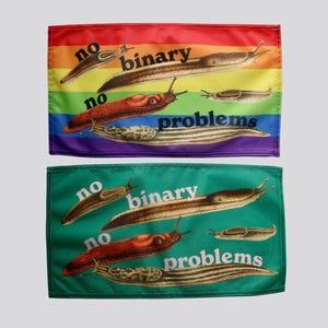 Puede incluir: Dos banderas rectangulares con una ilustración de babosas y las palabras "no binary no problems". Una bandera tiene un fondo de arcoíris, la otra es verde. Las babosas son marrones, rojas y beige.