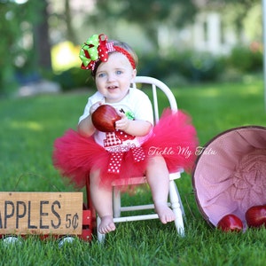 Apple Of My Eye Birthday Tutu Outfit-Apple Orchard Birthday Tutu Set-Apple Birthday Tutu Set *Bow NOT Included* image 3